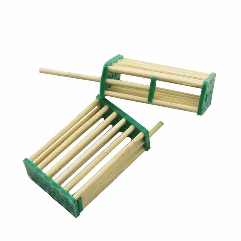 30 Pcs Beehive bee King Cage Wang Prisoners Italian bee hives bamboo - KiwisLove