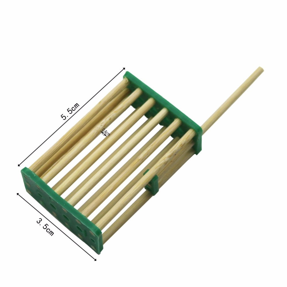30 Pcs Beehive bee King Cage Wang Prisoners Italian bee hives bamboo - KiwisLove
