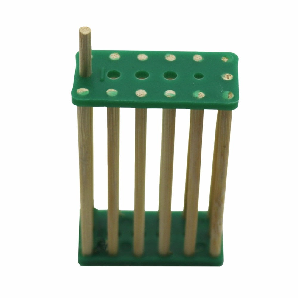 30 Pcs Beehive bee King Cage Wang Prisoners Italian bee hives bamboo - KiwisLove