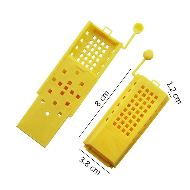 20pcs Beekeeping King Cage Prisoners Bedroom European style hive - KiwisLove