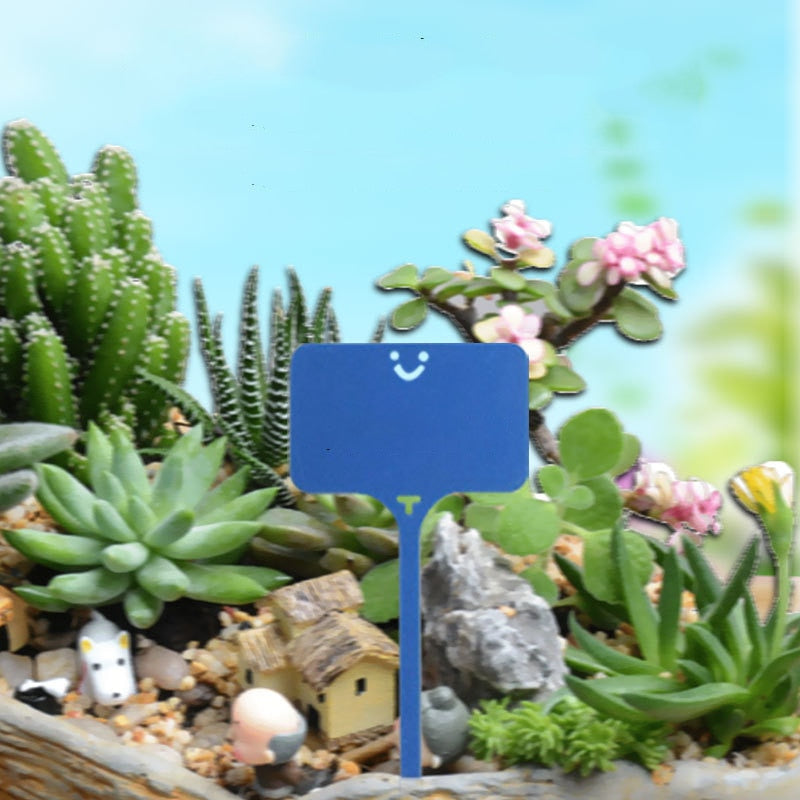 100Pcs  Garden Labels Greenhouse  Plant Classification Markers - KiwisLove