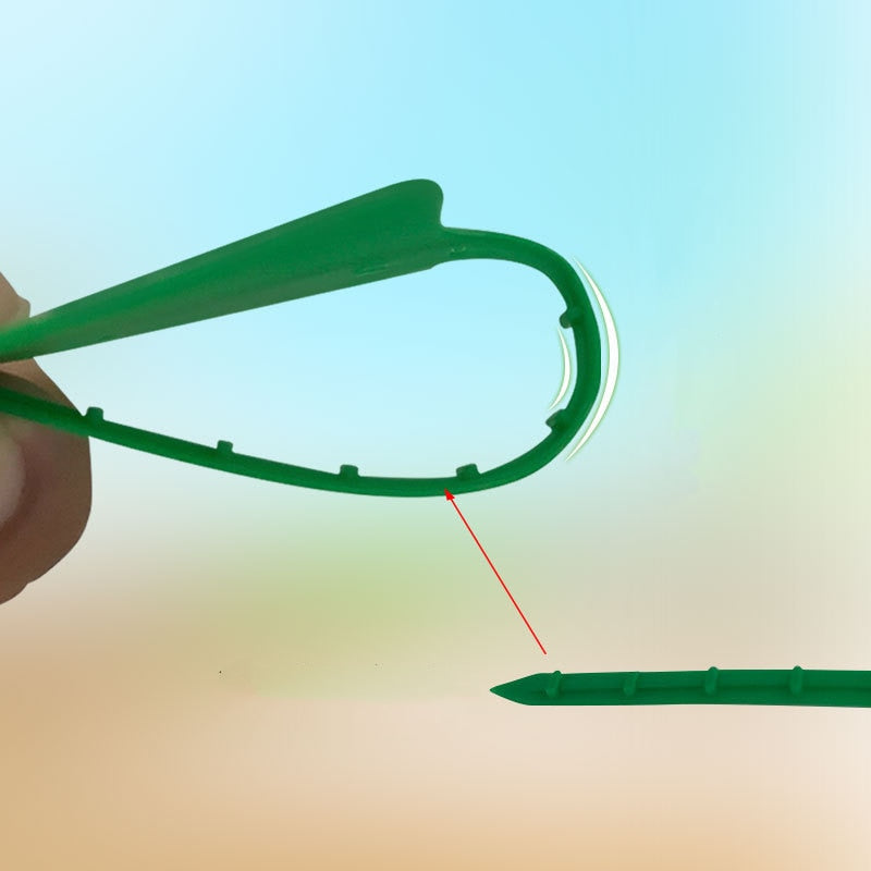 100Pcs  Garden Labels Greenhouse  Plant Classification Markers - KiwisLove