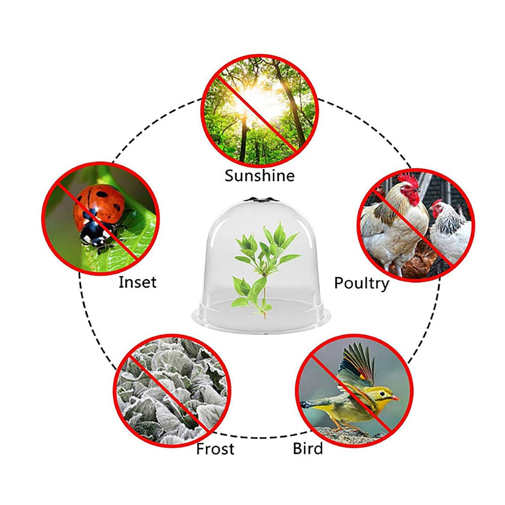 Reuseable Plastic Garden Plant Bell Cover Seeds Germination Cover Frost - KiwisLove