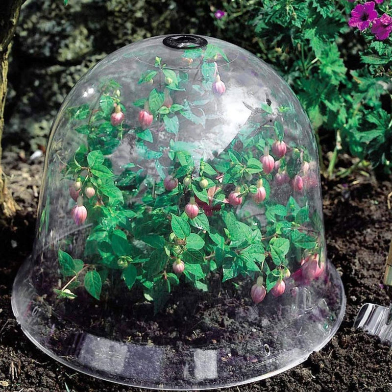 Reuseable Plastic Garden Plant Bell Cover Seeds Germination Cover Frost - KiwisLove