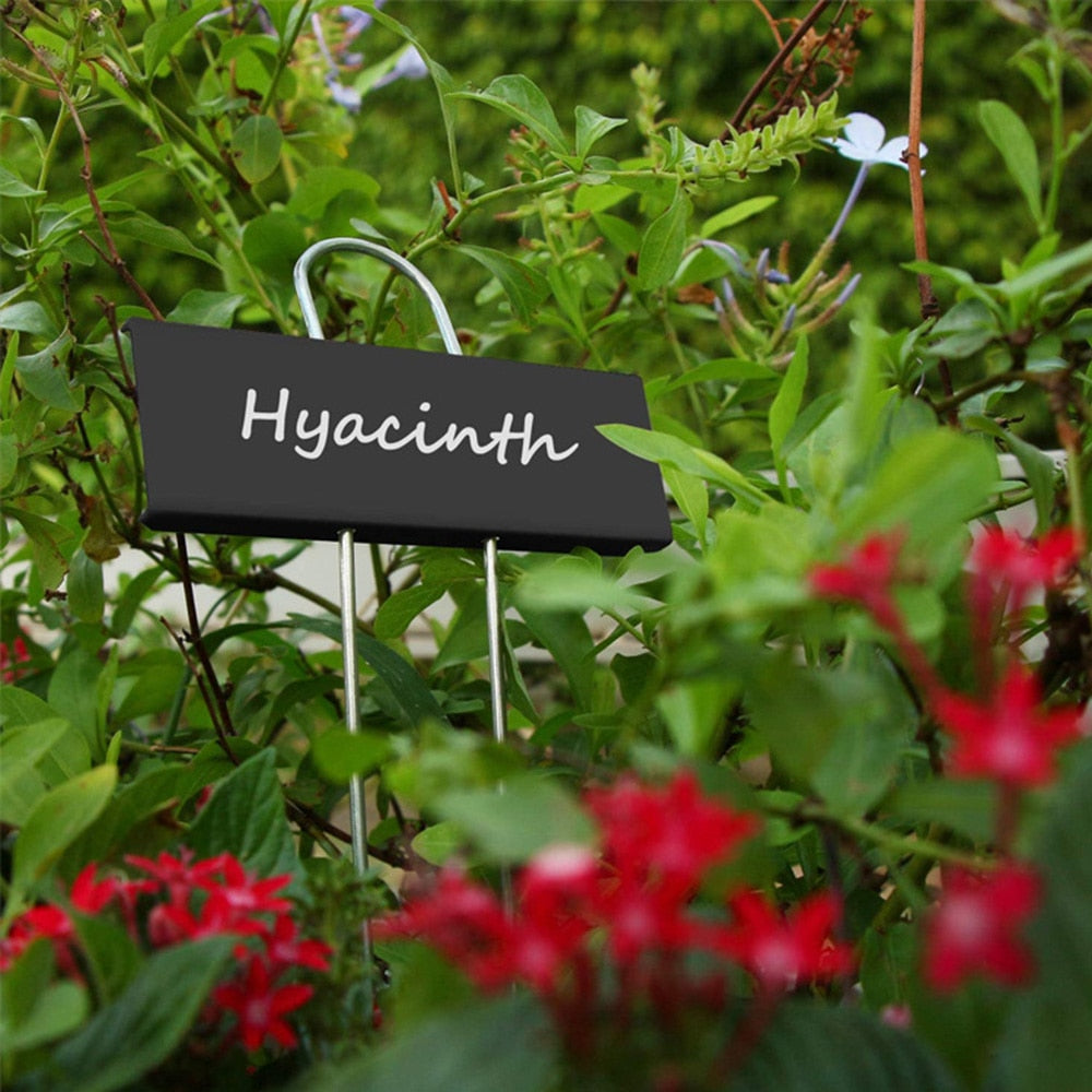 5PCS Stainless Steel Planting Waterproof Re-Usable Nursery Tags  Labels - KiwisLove