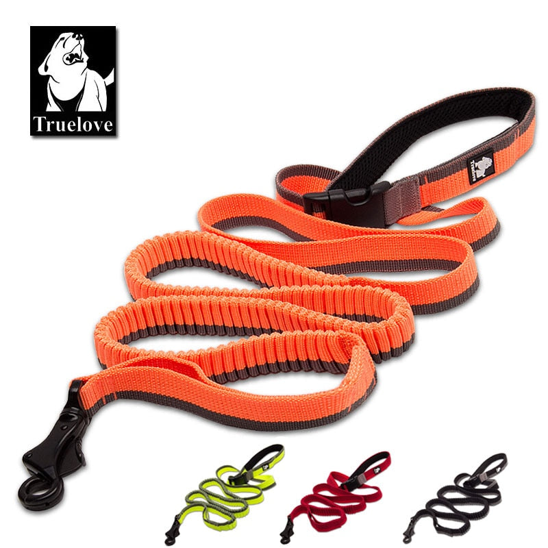 Truelove Dog Running Bungee Leash Hand-held Waistworn Adjustable - KiwisLove