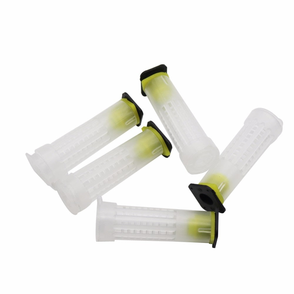 100 pcs Bee Equipment Queen cage  new beekeeping Insects wholesale Bee feeder - KiwisLove