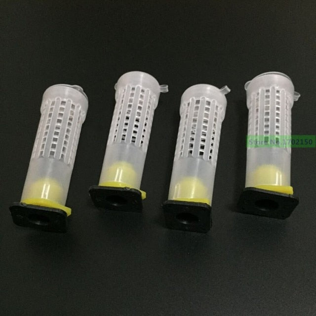 100 pcs Bee Equipment Queen cage  new beekeeping Insects wholesale Bee feeder - KiwisLove