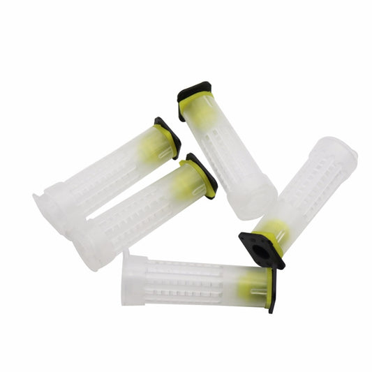 50 pcs Bee Equipment Queen cage  new beekeeping Insects wholesale Bee feeder - KiwisLove