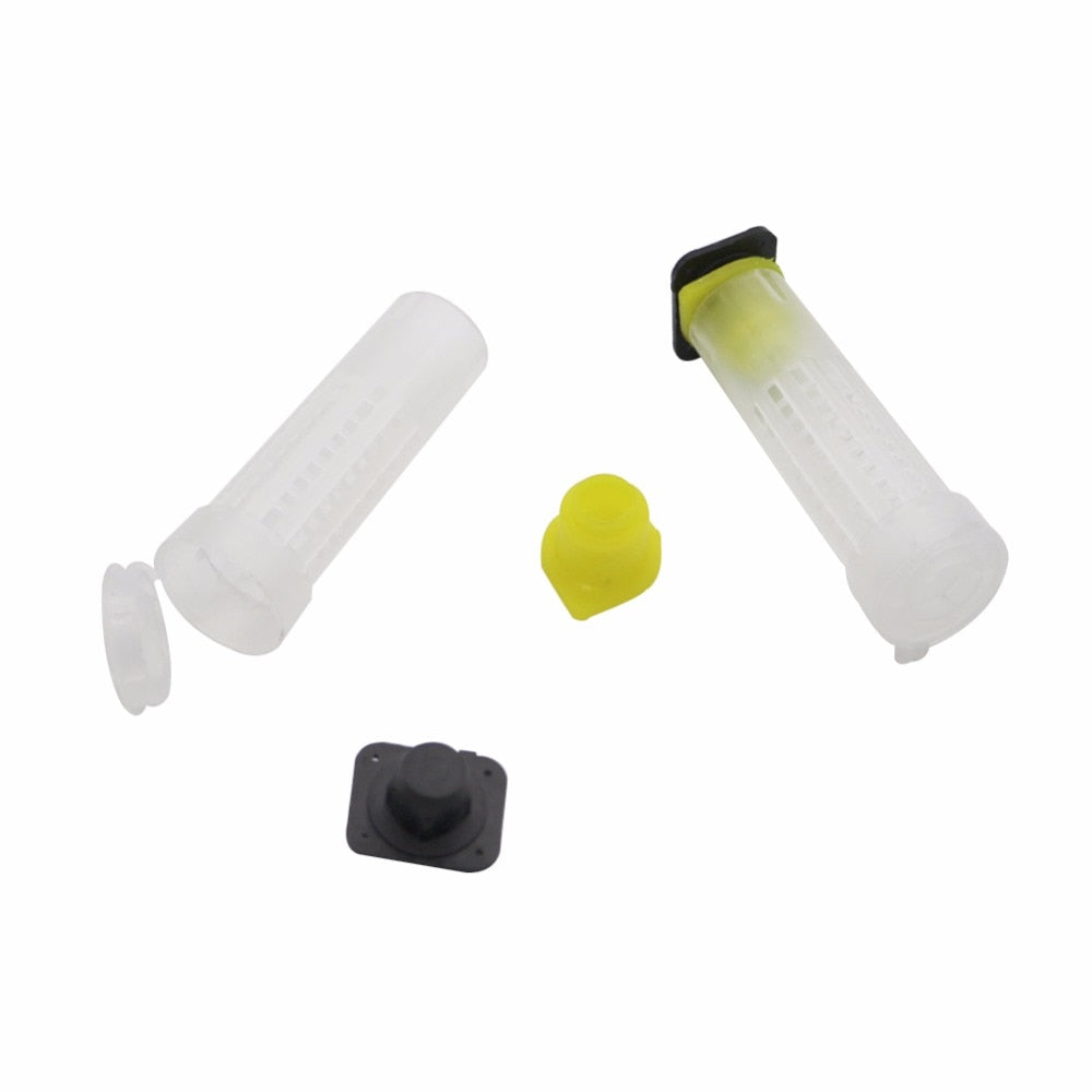 50 pcs Bee Equipment Queen cage  new beekeeping Insects wholesale Bee feeder - KiwisLove