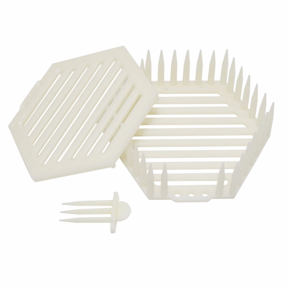 10 Pcs Hexagon Crown Of Thorns Needle Cage Queen King Prisoner Pinned - KiwisLove