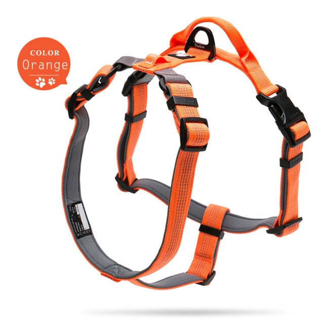 Truelove Pet Harness Adjustable Reflective Nylon with Collar Leash LED Light  TLH6171 - KiwisLove