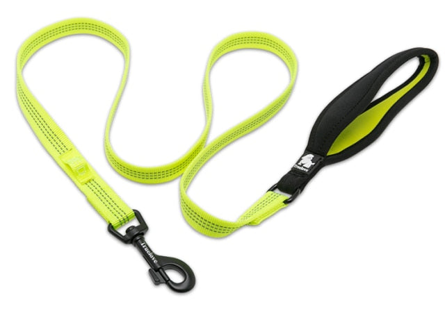 Truelove Pet Dog Nylon Reflective Leash used harness and collar  TLL2771 - KiwisLove