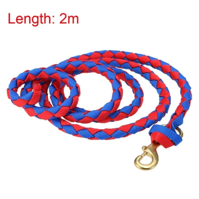 Horse Rope Halters with Brass Snap Training Rope Horse Riding Racing  Braid - KiwisLove